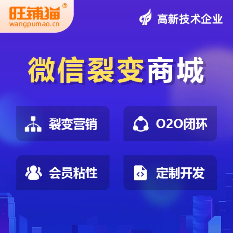 商城开发中的安全防护与数据加密策略